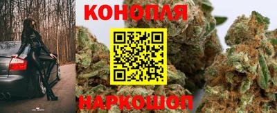 mdpv Малоярославец