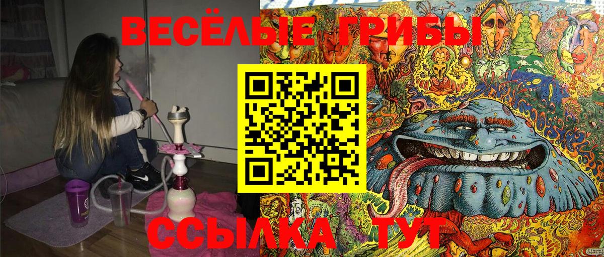 Галлюциногенные грибы мицелий  Вход с VPN  Псилоцибиновые грибы Psilocybe  Дивногорск 